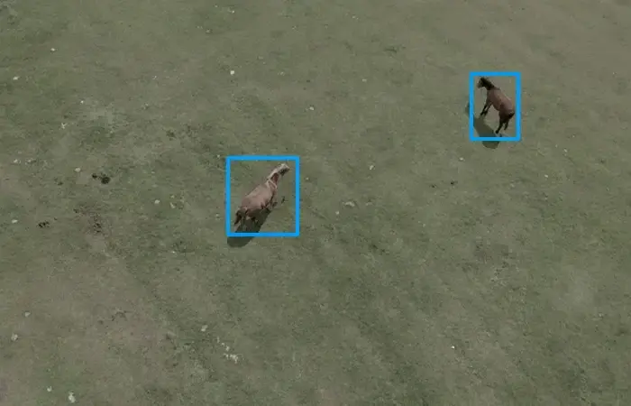 Bounding Box for Object Detection