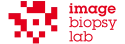Image Biopsy Lab